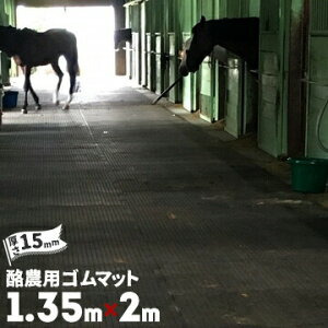 S _p}bg S}bgbNJbgdl 15mmTCY 1350mm×2000mmɗpS}bg ۉ ₦y ̔JynpZ̉XɒʘH Cxg ό_̒ʘH 