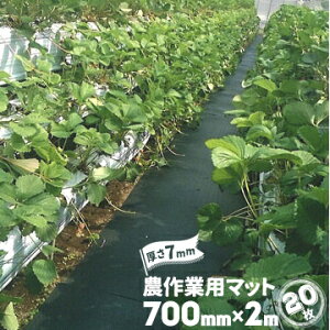 S _Ɨp}bg 5mm / 7mm350mm×2000mm / 500mm×2000mm / 700mm×2000mm_}bg h~ ʂ ʘH _S}bg