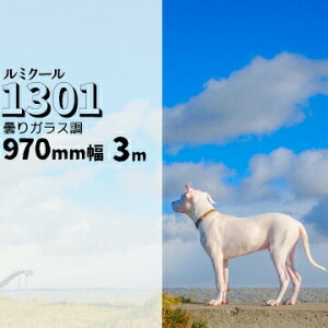 KXtB ~N[1301 ܂KX 970mm3mKX EBh[tB