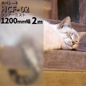 �^�y�V�[�g HCF-02 �N���A�[�~�X�g�� 1200mm���� 2m�K���X�t�B���� ����K���X �ډB�� �܂�K���X�t�B���� �� ���� �E�B���h�[�t�B����