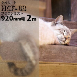 ^yV[g HCF-03 uE~Xg 920mm 2mKXtB KX ډB ܂KXtB   EBh[tB