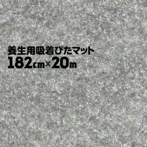^ixH {pz҂}bgKPR-305 O[[^Cv182cm×20m1{{V[g J[ybg Ki  Gx[^[  L z H { s^