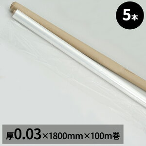 |tB #0.03x1.8mx100mi[5{j |V[g |G`V[g SΉiꕔOj ꒼\