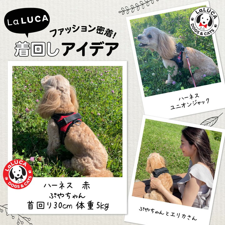 楽天市場 犬 ハーネス 小型犬 リード 中型犬 大型犬 Laluca ステップハーネス ウェアハーネス 犬用 介護用 首輪 ハンドル付き 送料無料 かわいい 胴輪 お散歩 Laluca 楽天市場店 楽天市場 犬 ハーネス 小型犬 リード 中型犬 大型犬 Laluca ステップハーネス ウェアハーネス 犬用 介護用 首輪 ハンドル付き 送料無料 かわいい 胴輪 お散歩 Laluca 楽天市場店