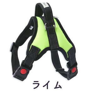 vďC yyV6z  n[lX ^ ^ ^  킢 EȂ Č bN   nh ybg U ⏕  LaLUCA ́[˂  q ^ p 