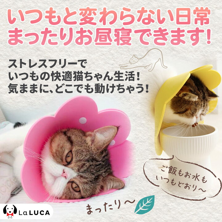 楽天市場 エリザベスカラー エリカラ 猫 ネコ 軽量 送料無料 ソフト Laluca ストレス軽減 傷舐め防止 ペット用ソフトエリザベスカラー Laluca 楽天市場店