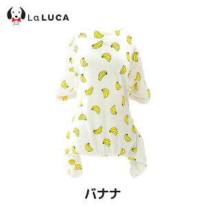 yyV6z   pW} hbOEFA p[X I[V[Y Ȃ pW} t  H ~ Ȃߖh~ ё΍  킢 LaLUCA