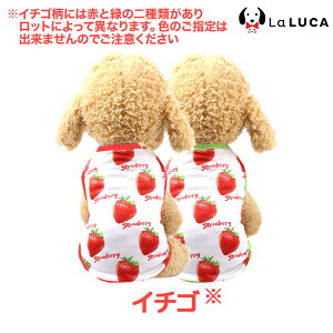   ^Ngbv ^N t[c oii pCibv C`S  gsJ  hbOEGA ^ ^ 킢  U LaLUCA