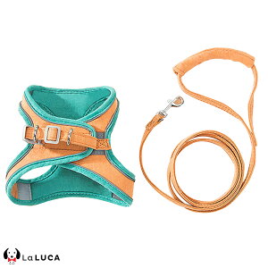 yyV6z  n[lX ^ ^ ^ [h Zbg  L \tgn[lX EFAn[lX  Ck lR }WbNe[v ybg [ht Lbg Ȃ LaLUCA Lb