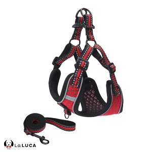 yyV6z  n[lX [h Zbg Ȃ EȂ ^ ^ ^ ^ q bV  Č y p  U LaLUCA u[   tBbg  ́[˂ 