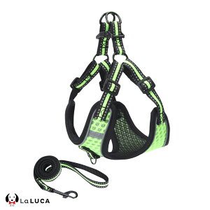 yyV6z  n[lX [h Zbg Ȃ EȂ ^ ^ ^ ^ q bV  Č y p  U LaLUCA u[   tBbg  ́[˂ 