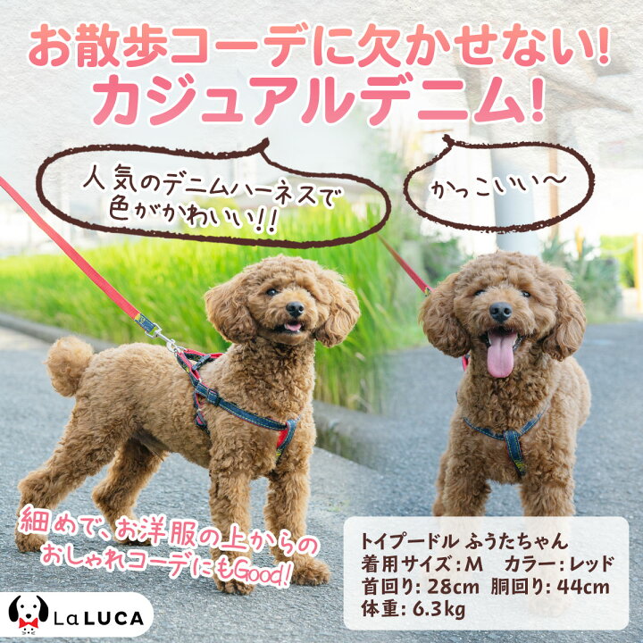 楽天市場】【楽天6冠】 犬 ハーネス 定番 スタンダード 犬用ハーネス 