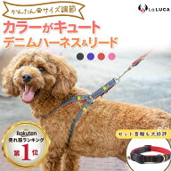 ＼NHK朝ドラで使用されました／【楽天6冠】 犬 ハーネス 首輪 定番 スタンダード 犬用ハーネス リード付 …