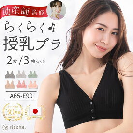 ベテラン助産師推薦 【楽天3冠】 【2枚/3枚セット】授乳ブラ マタニティ コットン ナイトブラ 前開き ノンワイヤー ブラジャー 授乳 ブラ 産前 rische. 送料無料 フロントボタン ベージュ ピンク 妊婦 産後 美胸 育乳 ナイト 綿