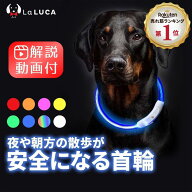 プロ監修 【楽天ランキング1位】 光る首輪 犬 LED首輪 レインボー 虹色 発光首輪 夜間 首輪 散歩 安全 事…