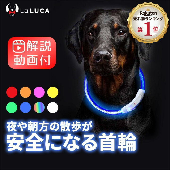 楽天市場】プロ監修 【楽天ランキング1位】 光る首輪 犬 LED首輪 