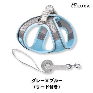 n[lX  L ^ ^ bV U ˑf  킢  LaLUCA IW  ʋC u[ tBbg Lbg  ́[˂ q qlR p ˂ EȂ 