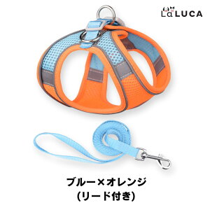 n[lX  L ^ ^ bV U ˑf  킢  LaLUCA IW  ʋC u[ tBbg Lbg  ́[˂ q qlR p ˂ EȂ 