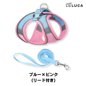 n[lX  L ^ ^ bV U ˑf  킢  LaLUCA IW  ʋC u[ tBbg Lbg  ́[˂ q qlR p ˂ EȂ 