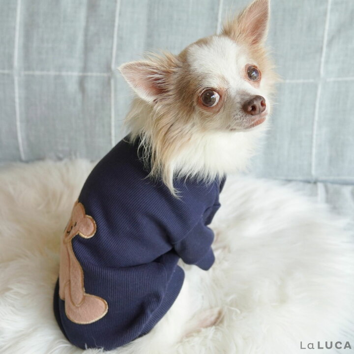 楽天市場】【楽天6冠】 犬 服 ペット 犬服 ドッグウェア ペットウェア 