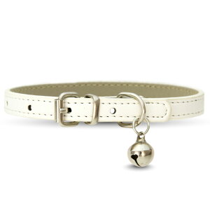 _NHKhŎgp܂^yz   L     X^_[h PU U[ Vv ^ ^ hbO  U lC Jt LaLUCA