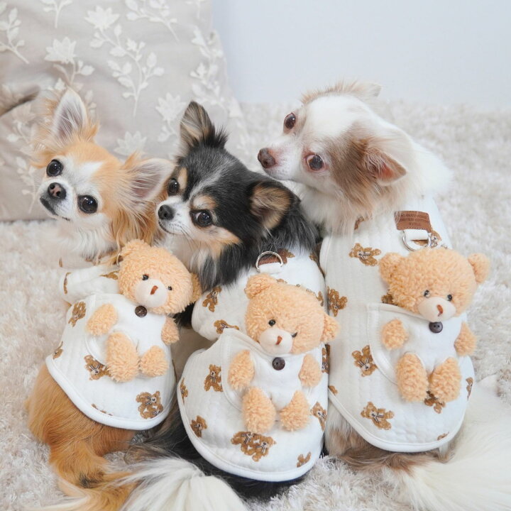 楽天市場】犬 服 ペット 犬服 くま ペットウェア 熊柄 クマ柄 かわいい 