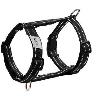 yyV6z  n[lX ^ ^ ^ ɂ Ȃ Eɂ EȂ GXP[vK[h Č  킢  J̓ S AEghA ȒP bN  p 