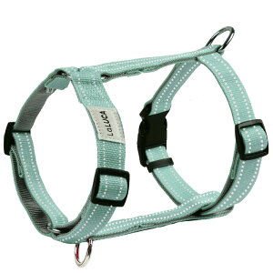 yyV6z  n[lX ^ ^ ^ ɂ Ȃ Eɂ EȂ GXP[vK[h Č  킢  J̓ S AEghA ȒP bN  p 