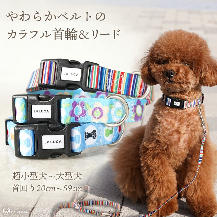 楽天市場】＼地上波ドラマで使用されました／ 犬 首輪 小型犬 中型犬 