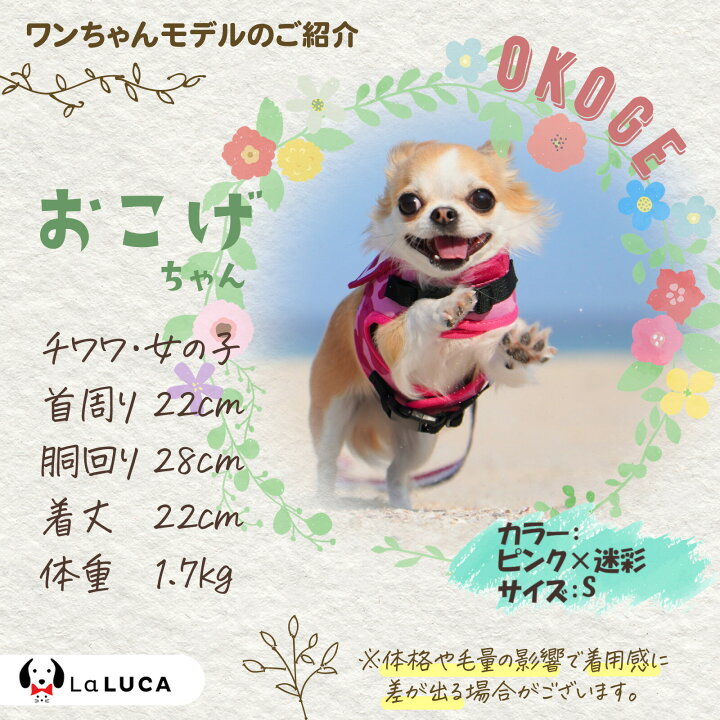 楽天市場】犬 ハーネス 小型犬 猫 リードセット 脱げない LaLUCA 犬猫兼用 ウェアハーネス 胴輪 イヌ ネコ マジックテープ おしゃれ 散歩 かわいい 胴輪 簡単装着 マリン セーラー服 : LaLUCA 楽天市場店 楽天市場】犬 ハーネス 小型犬 猫 リードセット 脱げない LaLUCA 犬猫兼用 ウェアハーネス 胴輪 イヌ ネコ マジックテープ おしゃれ 散歩 かわいい 胴輪 簡単装着 マリン セーラー服 : LaLUCA 楽天市場店