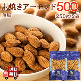 【 スーパーSALE 10％OFF 】 無塩 素焼き アーモンド 500g 【 お得 な 250g × 2袋 セット 】 アメリカ産 植物油不使用 ナッツ ローストノンオイル おつまみ おやつ 大容量 食塩不使用