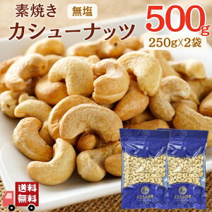 y }\ SALE 10OFF z  fĂ JV[ibc 500g y   250g × 2 Zbg z xgiY [Xg Y Asgp Hsgp  ܂ e _CGbg