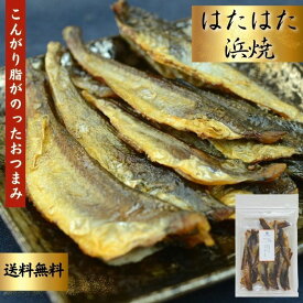 楽天市場 ハタハタ 焼きの通販