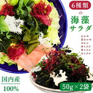 6種類 の 国内産 海藻 サラダ 100g 【 お得 な 50g × 2袋 セット 】乾燥 ミックス 【 送料無料 】 国産 …