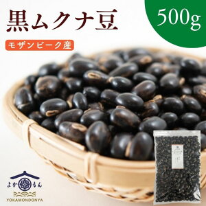 Ur[NY Ni 500g y  zc_򌟍  Mucuna Ni  `bNt X[p[t[h Ni