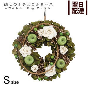 i`[X zCg[Y&Abv S 23.5cm Natural Wreath vU[uht[ Mtg v[g  v[g [X EGJ Ǌ| Ǐ CeAO[ ԃ[X Vz