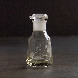 ؎q ݖ ~E~ AcɎq HIROTA GLASS ÑF KX Ԑ؎q 傤 100ml ]ː؎q