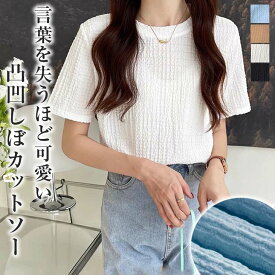 【半額クーポン対象】 カットソー Tシャツ 半袖 トップス レディース Uネック おすすめ おしゃれ ブラック 大きいサイズ メール便 2023春夏新作【angtp307-339】【予約販売：5/20～5/30発送予定】【送料無料】メ込2