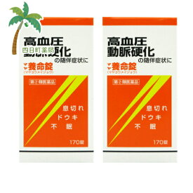 【第(2)類医薬品】マヤ養命錠170錠 [2個セット] C:4987210302055