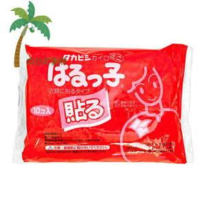 JC ^JrVw \bq ~jpbN(10) ĝăJC ͂ zbJC \ h { ΍ ~ ₦ ObY قق   C:4904581831120