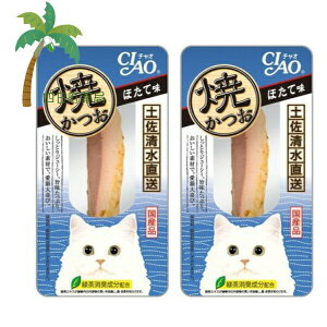 `I Ă (قĖ) 1{ [2Zbg] Ȃ `IV[Y Y ΒL CIAO Ċ JcI z^e  Zbg̔ ܂Ƃߔ ܂Ƃߔ