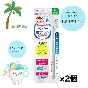 yaz xr[uV dグ݂p [2Zbg] qi   Ԃ _炩 a M:4987244170743