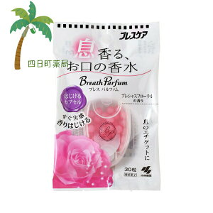 uXPA uXpt@ ͂JvZ vVXt[ 30 ؂₩  L Lq ɂɂ AR[ ̏L G`Pbg tbV Ao Hi  pZ