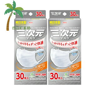 yazO}XN 傫 LTCY zCg 30 [2Zbg] { ɂȂ ӂ莨Ђ JeLR RۉHtB^[ L K ECX  ԕ PM2.5 i