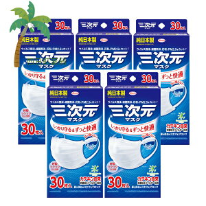 yazO}XN ӂ MTCY zCg 30 [5Zbg] { ɂȂ ӂ莨Ђ JeLR RۉHtB^[ L K ECX  ԕ PM2.5 isD
