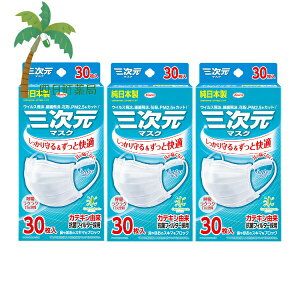 yazO}XN  M?STCY zCg 30 [3Zbg] { ɂȂ ӂ莨Ђ JeLR RۉHtB^[ L K ECX  ԕ PM2.5 