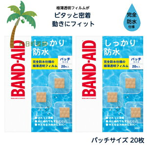 yohGChz h pb`TCY(20) [2Zbg] Jnp 菝 菝   ʈË@ ڗȂ  ɔtB ɂ ɃtBbg ŋۍ 