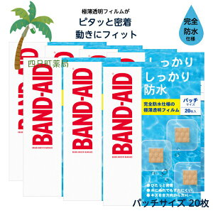 yohGChz h pb`TCY(20) [7Zbg] Jnp 菝 菝   ʈË@ ڗȂ  ɔtB ɂ ɃtBbg ŋۍ 