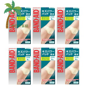 yyVX[p[SALEʉi 10%OFFzyohGChz LYp[pbh 傫 6 [6Zbg ]Jnp 菝 菝   yx̂₯ ~}×p ڗȂ F  ŋ
