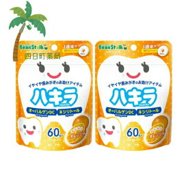 【楽天スーパーSALE特別価格 10%OFF】【雪印ビーンスターク】 ハキラ オレンジ味 60粒入 [2個セット] MH:4987493011262